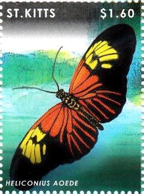 Colnect-3483-477-Heliconius-aoede.jpg