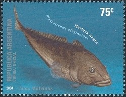 Colnect-1276-478-Patagonian-Toothfish-Dissostichus-eleginoides.jpg