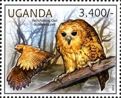 Colnect-1716-934-Pel-s-Fishing-owl-Scotopelia-peli.jpg
