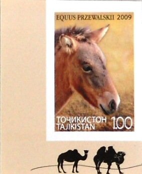 Colnect-1466-270-Przewalski-s-Horse-Equus-ferus-przewalskii.jpg