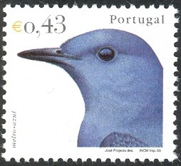 Colnect-568-003-Blue-Rock-Thrush-Monticola-solitarius.jpg