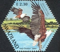 Colnect-1696-580-African-Fish-Eagle-Haliaeetus-vocifer.jpg