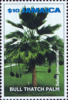 Colnect-3690-624-Sabal-jamaicensis---Bull-Thatch-palm.jpg