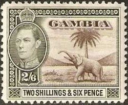 Colnect-530-186-King-George-VI-African-Elephant-Loxodonta-africana.jpg