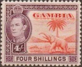 Colnect-530-187-King-George-VI-African-Elephant-Loxodonta-africana.jpg