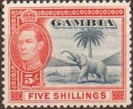 Colnect-530-188-King-George-VI-African-Elephant-Loxodonta-africana.jpg