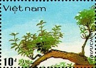 Colnect-1632-880-Vietnamese-bonsai.jpg