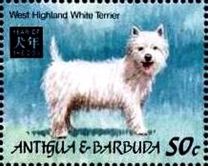 Colnect-4112-701-West-highland-white-terrier.jpg