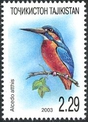 Colnect-1738-816-Common-Kingfisher-Alcedo-atthis.jpg