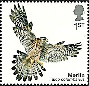 Colnect-5719-320-Merlin-Falco-columbarius.jpg