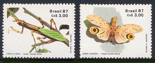 Skap-brazil_14_insects_2107-8.jpg