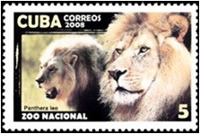 Colnect-1648-735-Lion-Panthera-leo.jpg