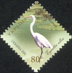 Colnect-573-576-Great-White-Egret-Egretta-alba.jpg