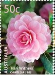 Colnect-457-336-Hari-Withers-Camelia.jpg