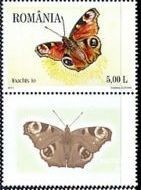 Colnect-1396-756-Peacock-Butterlfy-Inachis-io.jpg