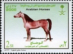 Colnect-1729-697-Arabian-Horse-%E2%80%9EKahilan-om-Arqoob%E2%80%9C-Equus-ferus-caballus.jpg