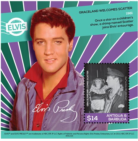 Colnect-6443-161-Graceland-Welcomes-Scatter.jpg