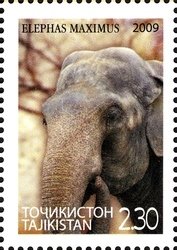 Colnect-1739-107-Asian-Elephant-Elephas-maximus.jpg