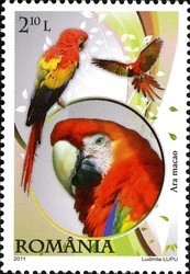 Colnect-763-172-Scarlet-Macaw-Ara-macao.jpg