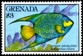 Colnect-3481-133-Queen-Angelfish-Holacanthus-ciliaris.jpg