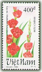 Colnect-1656-467-Red-gladioli-Gladiolus-hybridus-Hort.jpg