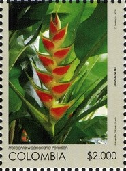 Colnect-1701-328-Heliconia-wagneriana.jpg