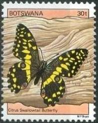 Colnect-1754-719-Citrus-Swallowtail-Papilio-demodocus.jpg