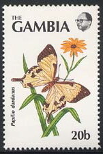 Colnect-2105-818-African-Swallowtail-Papillio-dardanus.jpg