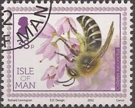 Colnect-2911-048-Heather-Colletes-Colletes-succintus.jpg