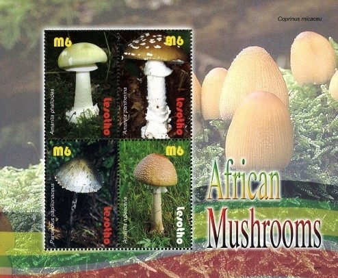 Colnect-1618-691-Flora---Mushrooms.jpg