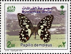 Colnect-1729-737-Lime-Swallowtail-Papilio-demoleus.jpg