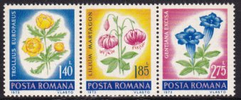 Colnect-4163-178-Flowers-of-Romania.jpg