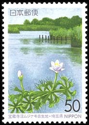Colnect-820-012-Aldrovanda-vesiculosa-Pond-in-the-Hozoji-wetland.jpg
