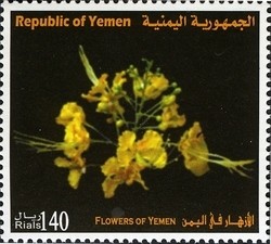 Colnect-960-977-Flowers-of-Yemen.jpg