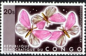 Colnect-1104-894-Butterfly-Rhodophtitus-simplex.jpg