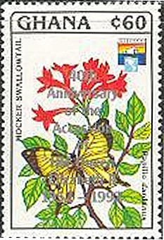 Colnect-2380-527-Mocker-Swallowtail-Papilio-dardanus---overprinted.jpg