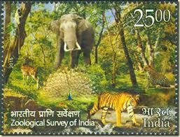 Colnect-3523-618-Zoological-Survey-Of-India---25-Rs.jpg
