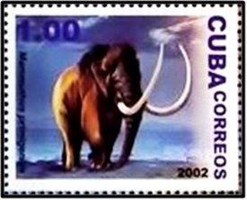 Colnect-2253-571-Woolly-Mammoth-Mammuthus-primigenius.jpg