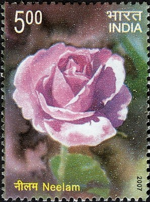 Colnect-542-605-Fragrance-of-Roses---Neelam.jpg