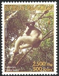 Colnect-1458-365-Indri-Indri-indri.jpg