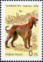 Colnect-1739-168-Afghan-Hound-Canis-lupus-familiaris.jpg