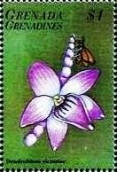 Colnect-4213-443-Dendrobium-victoriae.jpg