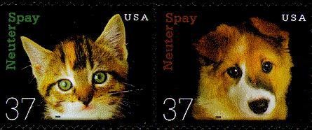 Colnect-201-961-Neuter-and-Spay.jpg