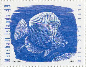 Colnect-2942-997-Blue-Tang-Acanthurus-coeruleus.jpg