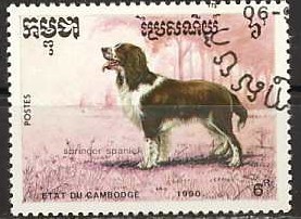 Colnect-1189-784-Springer-Spaniel-Canis-lupus-familiaris.jpg