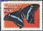 Papilio-nireus.jpg