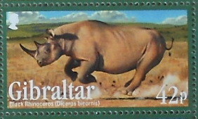 Colnect-1941-964-Black-Rhinoceros-Diceros-bicornis.jpg