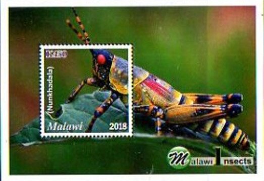 Colnect-5595-995-Insects-of-Malawi.jpg