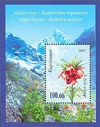 Colnect-196-933-Mountain-Flower-Aigul.jpg