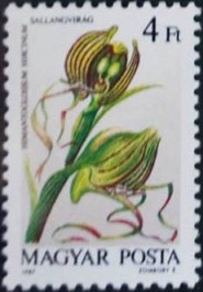 Colnect-605-478-Himantoglossum-hircinum.jpg